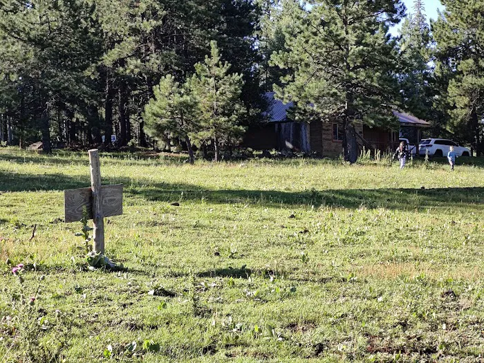 Hawley Lake Campground Area Picture 4