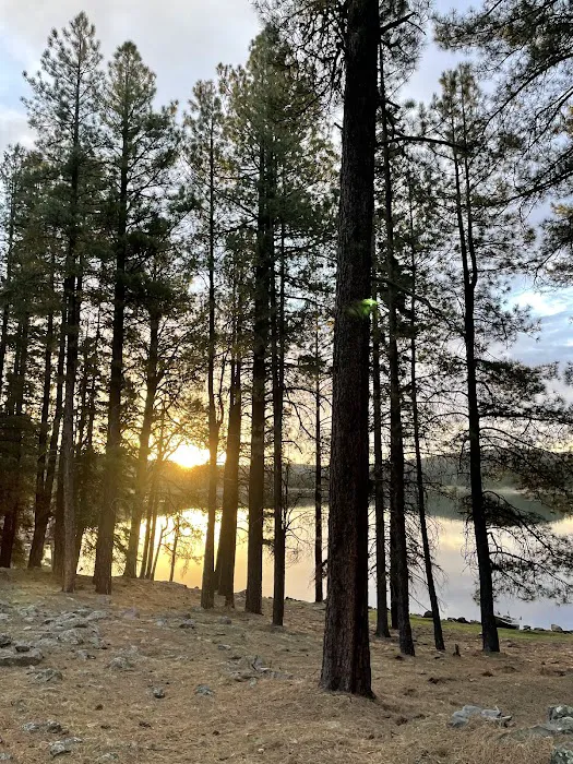 Hawley Lake Campground Area Picture 5