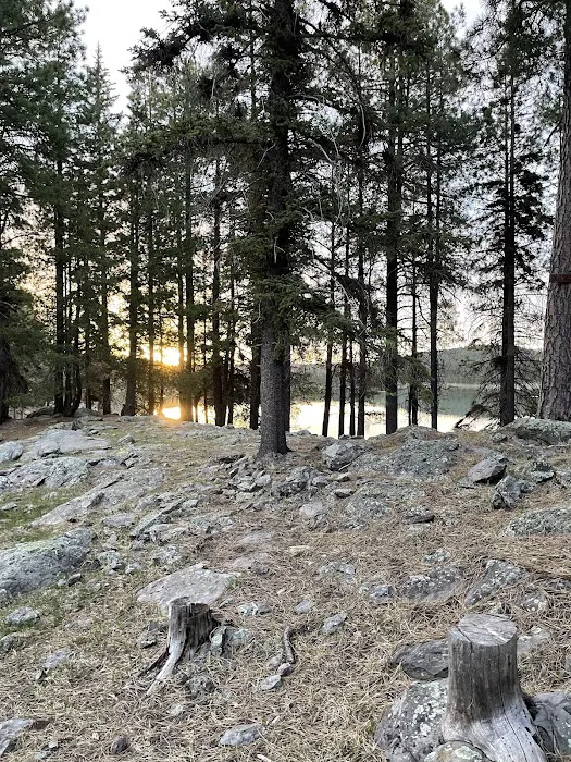 Hawley Lake Campground Area Picture 6