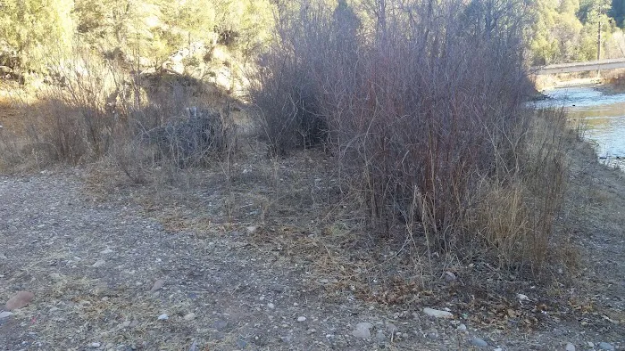 Diamond Creek Junction Campground Picture 5
