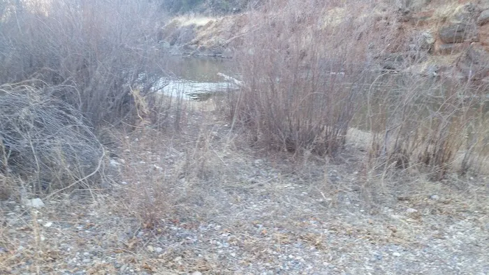 Diamond Creek Junction Campground Picture 6