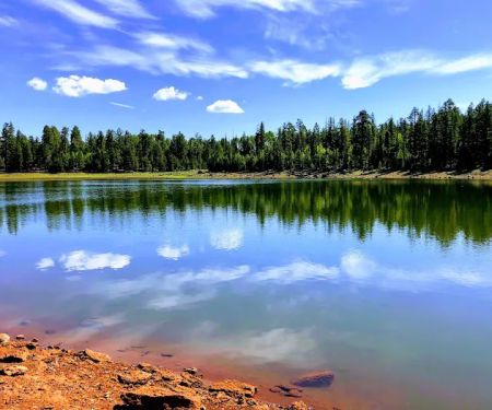 A One Lake Campground