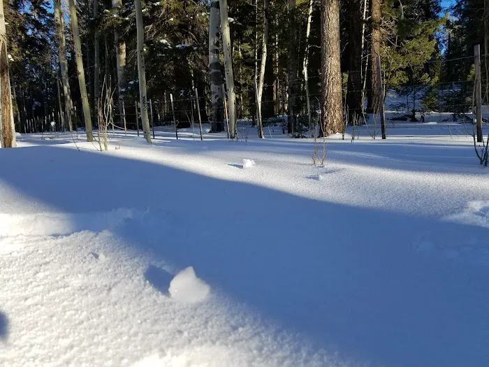 A One Lake Campground Picture 4