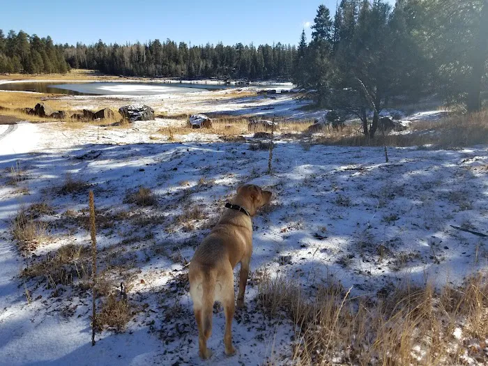 A One Lake Campground Picture 3