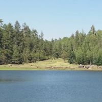 Sheep Cienega Campground ico