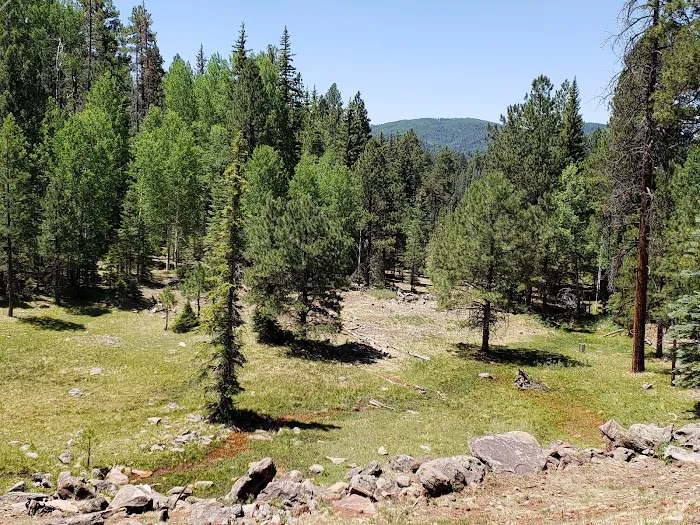 Sheep Cienega Campground Picture 2