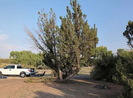 Concho Lake Campground