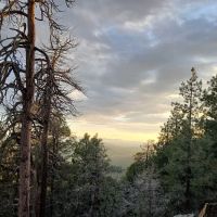 Campsite #11 ico