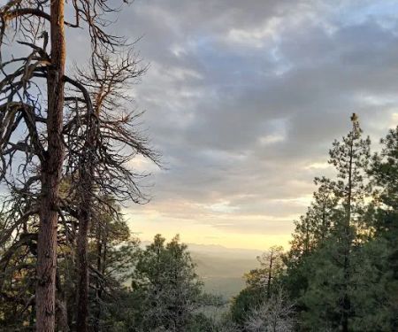 Campsite #11