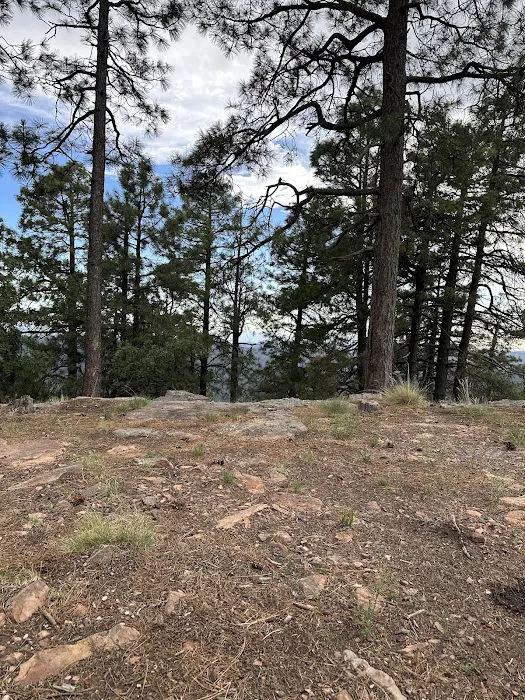 Campsite #13 Picture 2