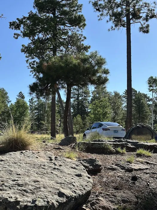 Campsite #13 Picture 4