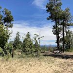 Campsite #19
