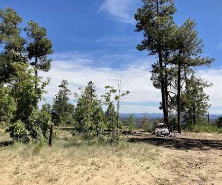 Campsite #19