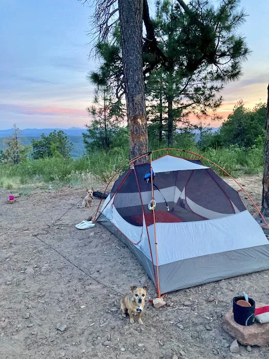 Campsite #19 Picture 7