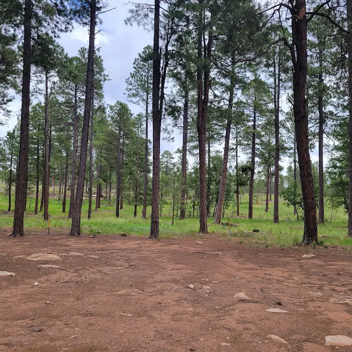 Campsite #21 Picture 4