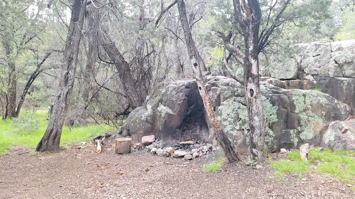 Alderwood Campground Picture 1