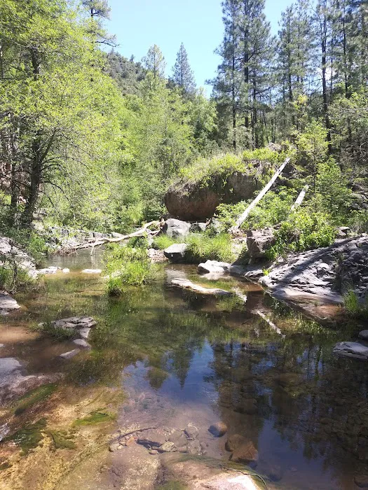 Alderwood Campground Picture 5