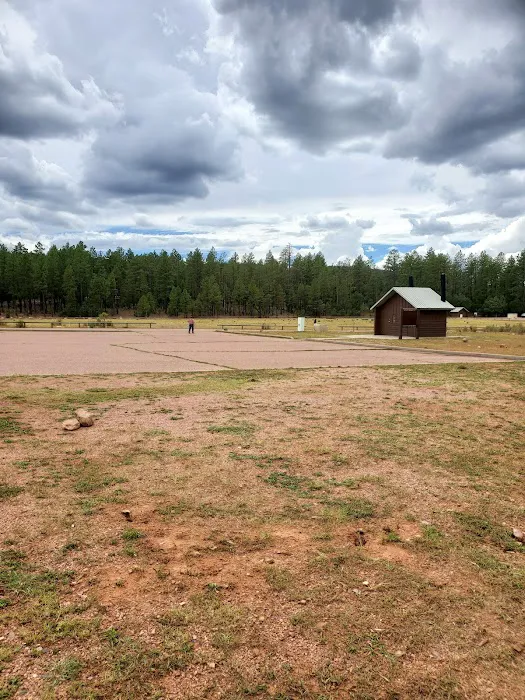 Sharp Creek Campground Picture 5