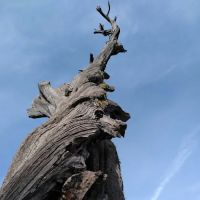Christopher Creek Campground ico