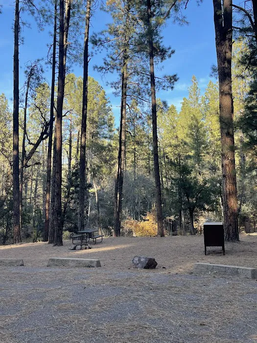 Christopher Creek Campground Picture 3