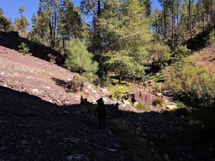 Christopher Creek Campground Picture 5