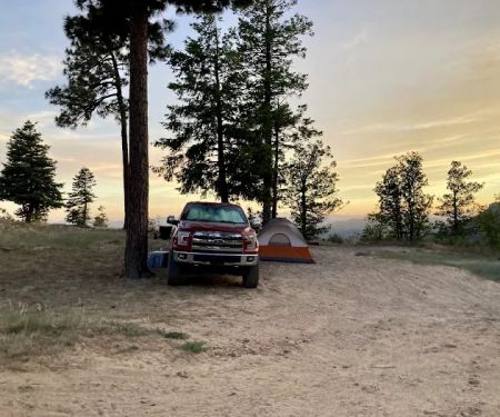 Campsite #29