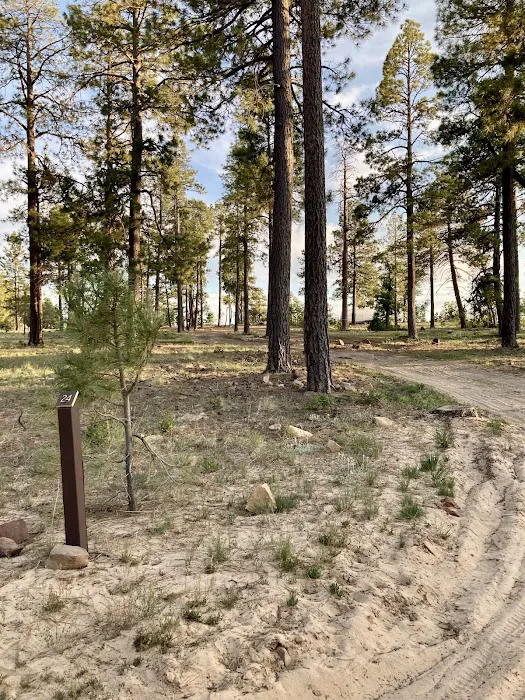 Campsite #24 Picture 3