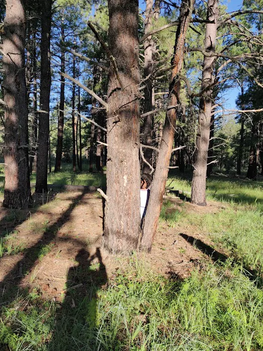 Moqui Group Campground Picture 9