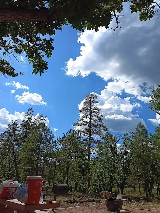 Rock Crossing Campground Picture 3