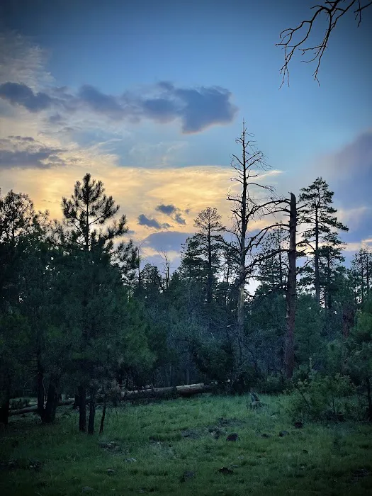 Rock Crossing Campground Picture 6