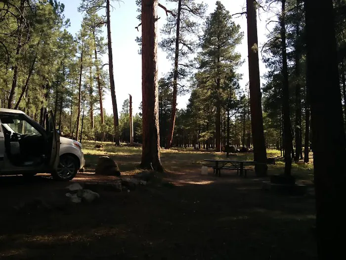 Clints Well Campground Picture 4