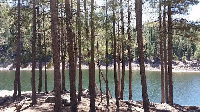 Knoll Lake Campground Picture 6
