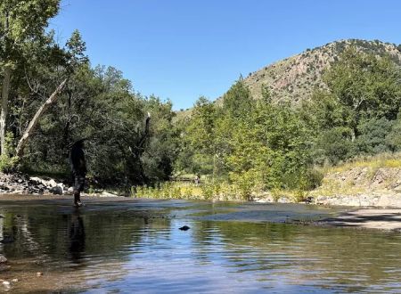 Walnut Grove Campground