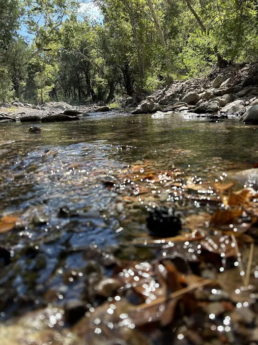 Walnut Grove Campground Picture 5