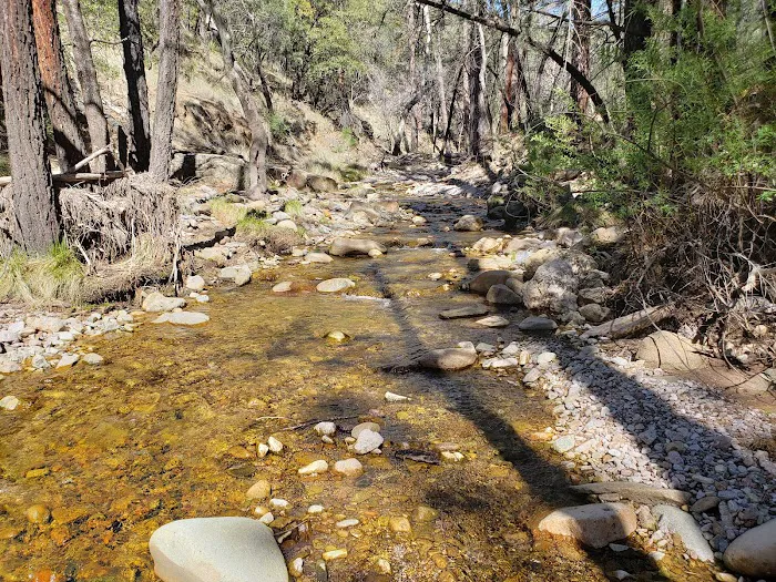West Turkey Creek Picture 1