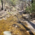 West Turkey Creek