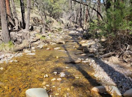 West Turkey Creek