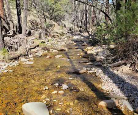 West Turkey Creek