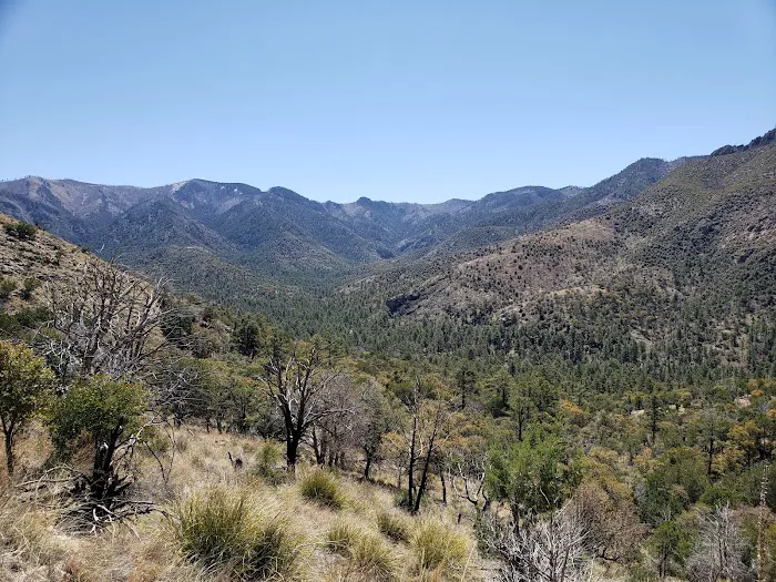 West Turkey Creek Picture 2