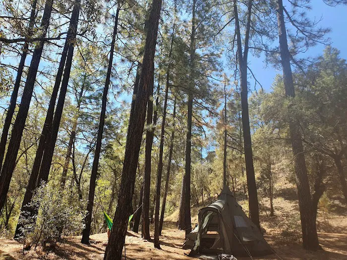 West Turkey Creek Picture 5