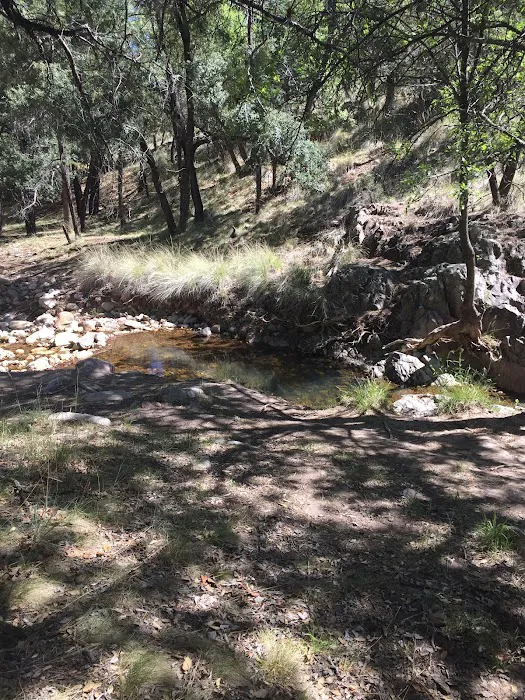 West Turkey Creek Picture 6