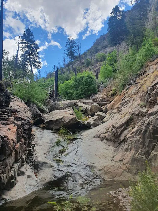 West Turkey Creek Picture 8