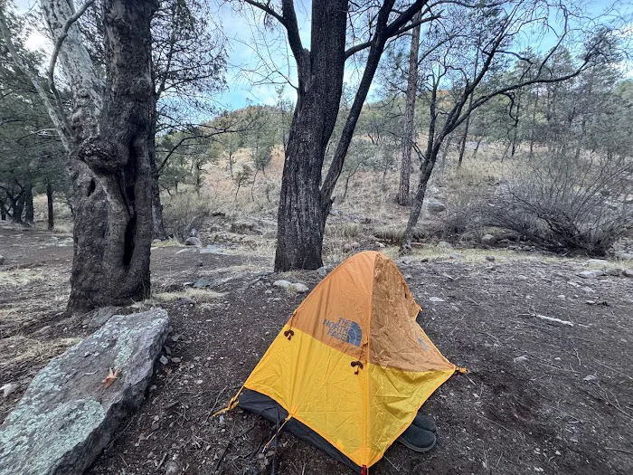 Sycamore Campground Picture 1