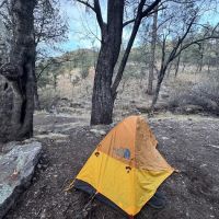 Sycamore Campground ico