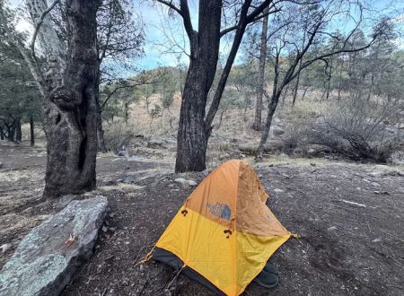 Sycamore Campground