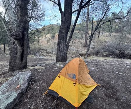 Sycamore Campground