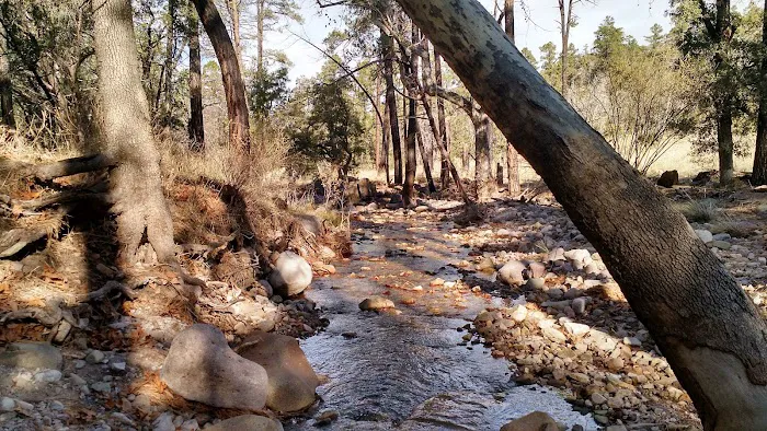 Sycamore Campground Picture 4