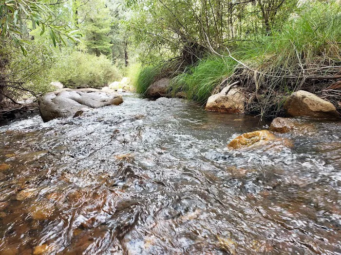Sycamore Campground Picture 3