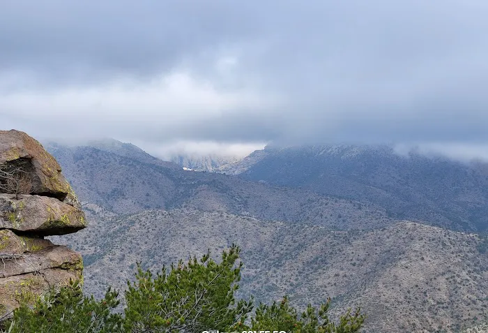 Bonita Canyon Campground Picture 5
