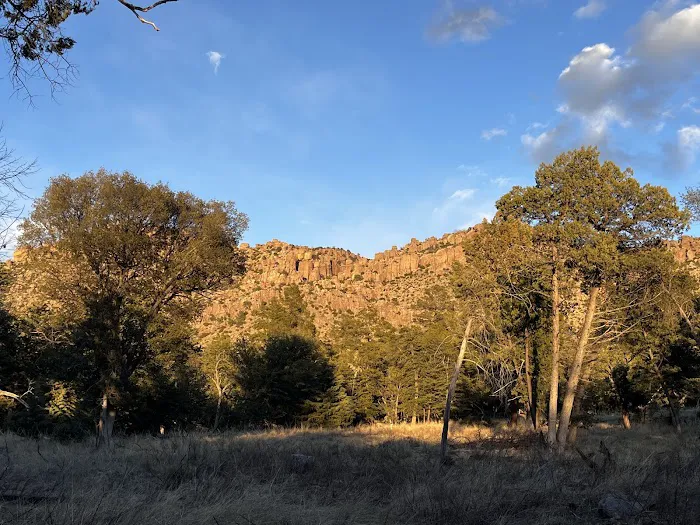 Bonita Canyon Campground Picture 7